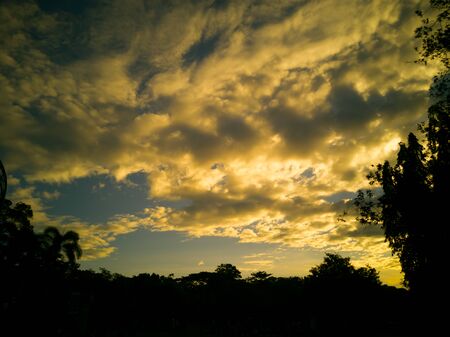 Beautiful panorama at sunset-Beautiful view in the clouds with treesの写真素材