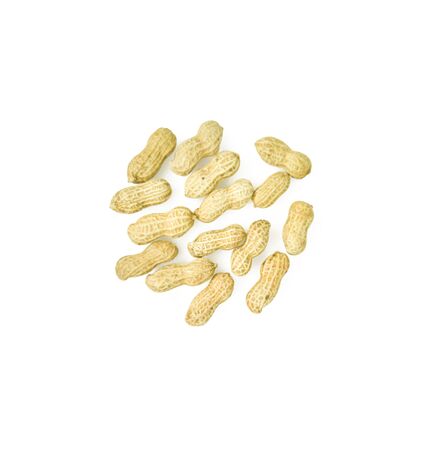 Top view peanuts in shell isolated on white background.の写真素材