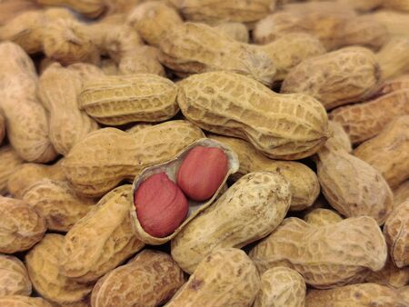 Heap of peanuts and there are two peanut seeds. Fresh peanuts in closeupの写真素材