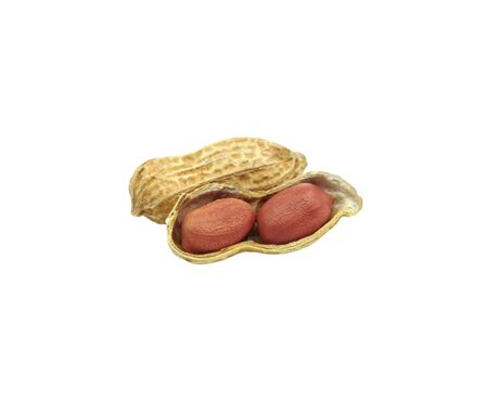 Peanuts in the shell isolated on white background. Closeup dried peanut in open shellの写真素材