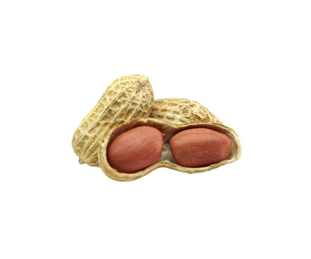 Peanuts in the shell isolated on white background. Closeup dried peanut in open shell