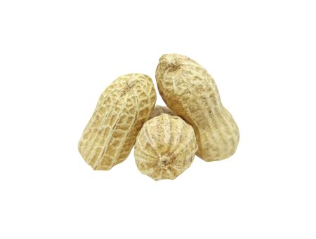 Three peanuts with texture isolated on white background. Dried peanuts for snack in closeupの写真素材