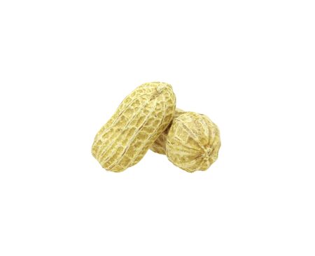 Two peanuts with texture isolated on white background. Dried peanuts for snack in closeupの写真素材