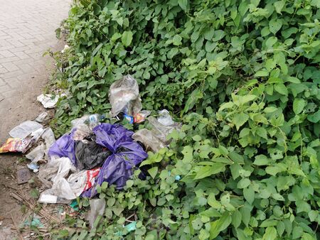 plastic waste on the road with green leaves that thriveの写真素材