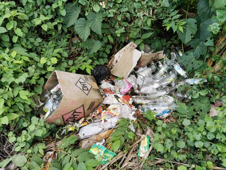 pile of garbage in the middle of green leaves that thrive.の写真素材