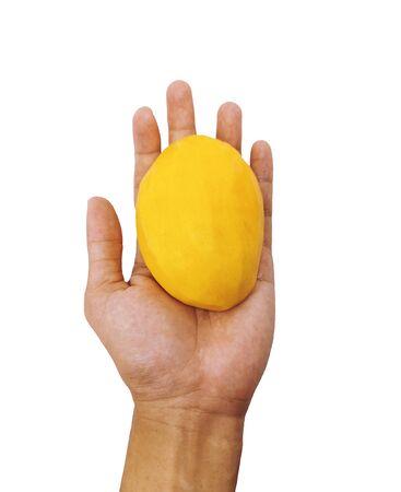 Single peeled mango in the palm isolated on white background. Yellow mango fruit in closeupの写真素材
