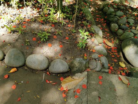 dried leaves and flowers falling in the garden. View of stones and red flowers scattered in the parkの写真素材