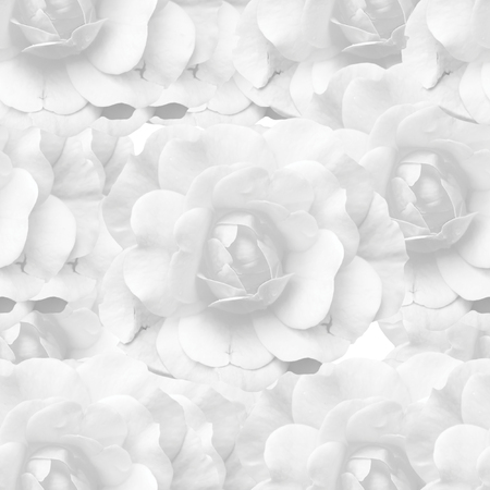 White monochrome seamless background with rosesの写真素材