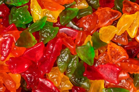 Fruit jelly, colorful. Sweets, dessert, sweets in the form of worms or snakes. Baby delicacy.の写真素材
