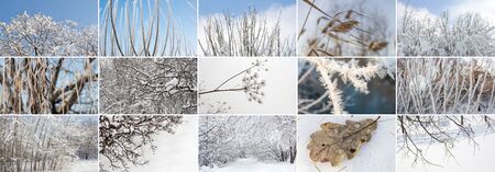 Winter collage from natural snow landscapes horizontalの写真素材