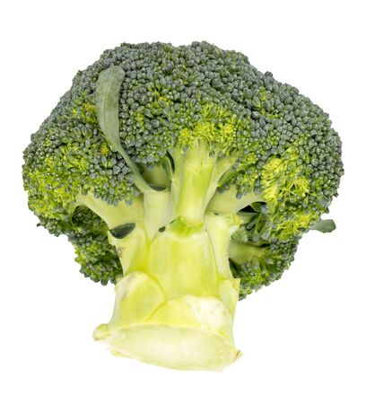Bush, head, broccoli head isolated on a white backgroundの写真素材