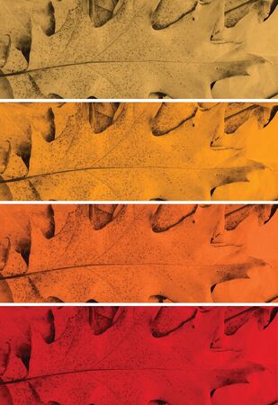 Top 4  Colors Spring and  Summer  2020. Trendy colors red and orange shades of a season.の写真素材