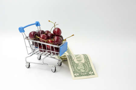 Cherries in shopping cart and money (dollar) on white backgroundの写真素材
