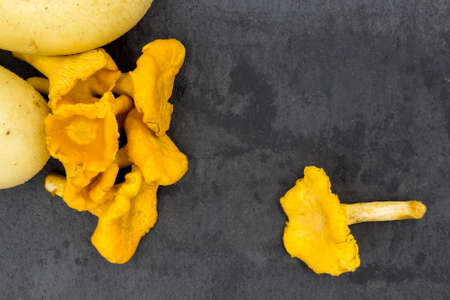 Raw chanterelle mushrooms on a black kitchen Boardの写真素材