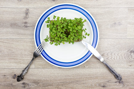 Micro-greens on a plate with a fork and knife, a concept for healthy eating.