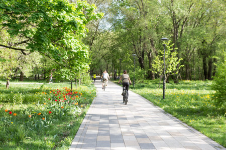 A man and woman ride a Bicycle on the road of the city park. Alternative eco-friendly mode of transportation.の写真素材