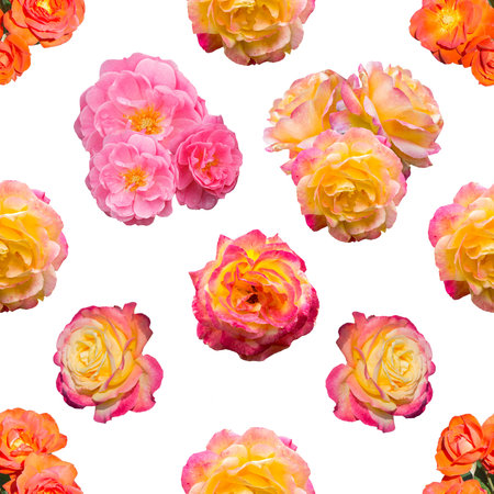 Seamless pattern with different flowers of roses. Festive, gentle, colorful background