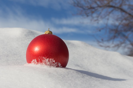A red ball lies in the snow. Red christmas ball for the tree.の写真素材