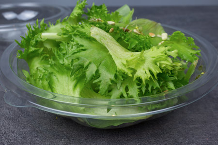 Frillis salad with with seed sproutson plate and Seedlings of plant seeds for healthy nutrition.の写真素材