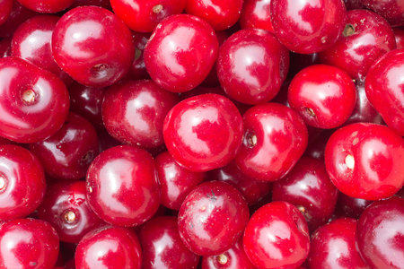 Close up of pile of ripe cherries. top view. Large collection of fresh red cherries. Ripe cherries...
