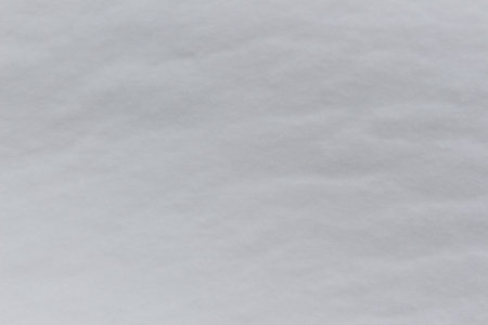 background of fresh snow. Natural snow texture. Cloudy day.の写真素材