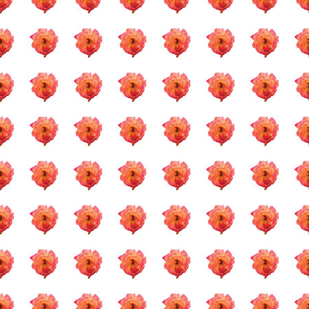 Seamless pattern with roses. summer flowers background.の写真素材