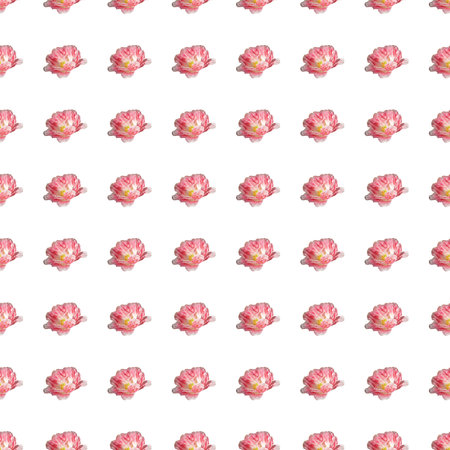 Seamless pattern with tulips flowers. spring floral backgroundの写真素材