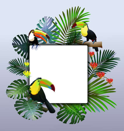Tropical Border Design. Vector Illustration.のイラスト素材