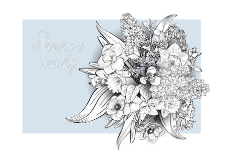 Vector hand-drawn primroses, black and white wreath made of flowers. Wreath illustration made of flowers and herbs. Spring elements. Freesia, Snowdrop, lilacs, anemones, narcissusのイラスト素材