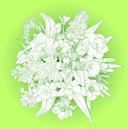 spring primroses card with space for text . spring background flowers.Vectorのイラスト素材