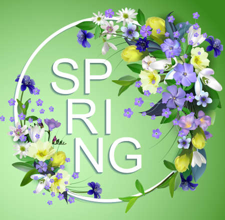 spring primroses card with space for text in a round frame. spring background flowersのイラスト素材