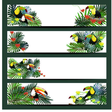 set of tropical Border Designのイラスト素材