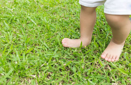 Baby's foot stepping on the grass in the morning with copy space.の写真素材