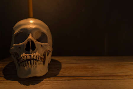 Human skull with candle light on wooden table in the dark background, Decorate for Halloween Theme with copy space.の写真素材
