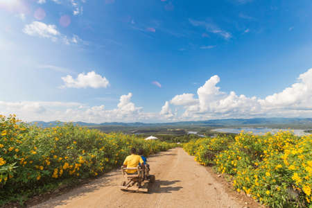 The tourist Playing a wood car wheeled vehicle in the field of flowers, Tree marigold or Mexican flower blooming field and blue sky in Mae Moh District Lampang, Thailand.の写真素材