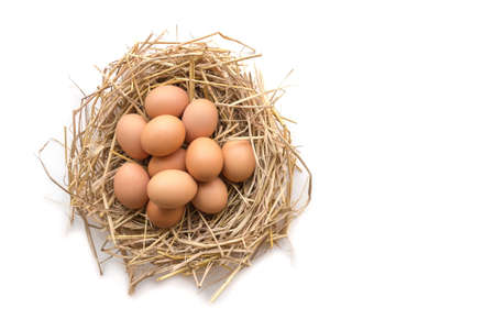 Top view of brown eggs in a nest on a white background, image with copy space.の写真素材