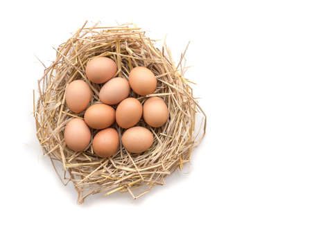 Top view of brown eggs in a nest on a white background, image with copy space.の写真素材