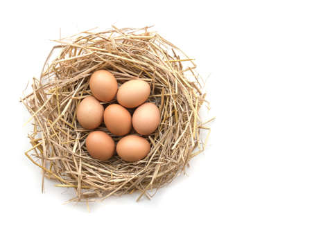 Top view of brown eggs in a nest on a white background, image with copy space.の写真素材