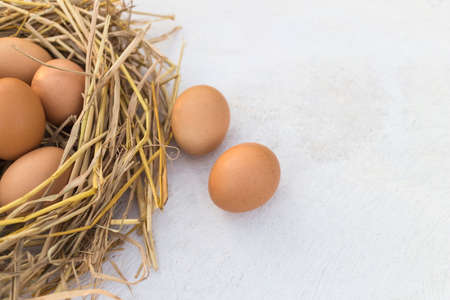 Fresh chicken egg in a nest and brown eggs on a white wooden table, image with copy space.の写真素材