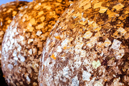 gold leaf backgroundの写真素材
