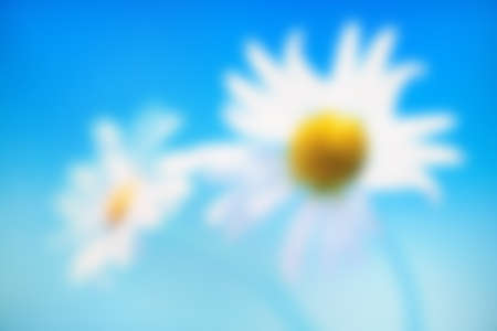 defocused flower background colorの写真素材