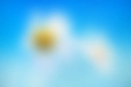 defocused flower background colorの写真素材