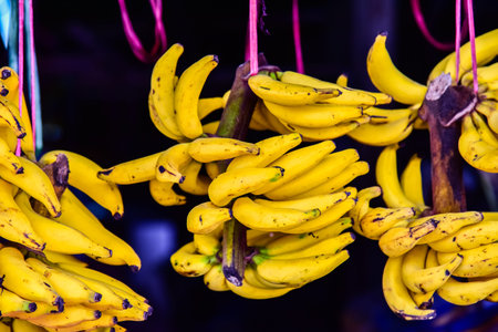 MANY BANANA COMB FOR SELLの写真素材