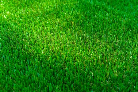Artificial grassの写真素材