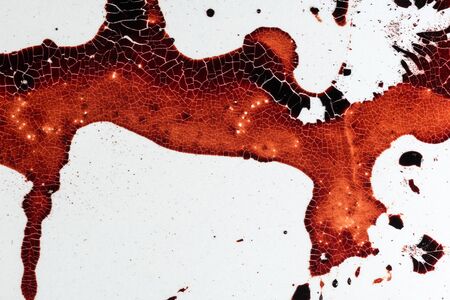 Drops of blood on a white backgroundの写真素材