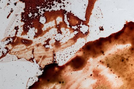 Drops of blood on a white backgroundの写真素材