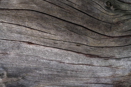 Textured old wood surface backgroundの写真素材
