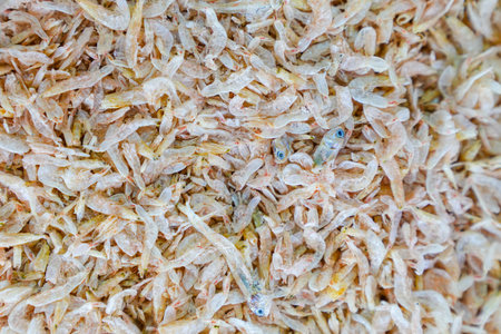 Close-up of dried anchovies. Seafood in the market.の写真素材