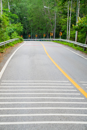 Small curve road through the tropical forest in sunlightの写真素材