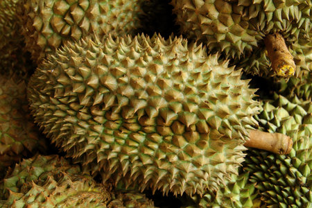 Durian in market, King of fruit 
